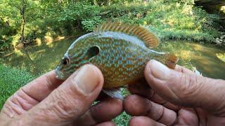 Indiana Creek Fishing