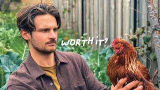 Backyard Chickens: 4 Important Lessons (Watch before you buy)