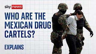 Who are the Mexican drug cartels?