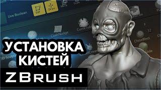 Как установить КИСТИ в Zbrush