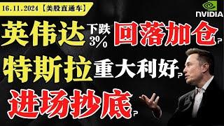 美股大跌，跑路or抄底？英伟达下跌3%，回落即加仓？特斯拉重大利好？进场抄底？【美股直通车】2024.11.16 #sam谈美股 #美股分析 #tsla #nvda #特斯拉 #英伟达