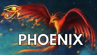 Phoenix | Mystic Bird of Renewal