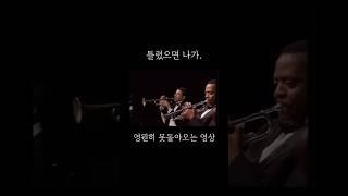 한번 쯤 실수는 괜찮겠지 ? 아니 안돼 #클래식 #클래식궁금증 #music #classicalmusic #오케스트라 #classic #클래식음악 orchestra