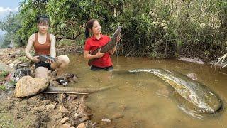 Wilderness Life: Catching Giant Fish, Selling at the Market, and Cooking Delicious Meals