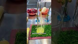 Sugarcane Juice Machine | Sugarcane Machine | Juice Machine | Ganna Machine | #trending #yt