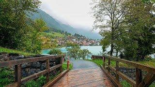 Oberried, Switzerland  walking tour in rain 4K 60fps | Most beautiful fairytale Swiss villages,