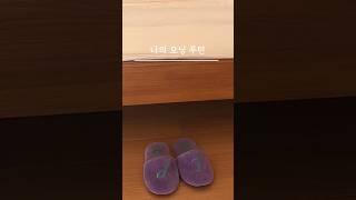 10년차 주부의 모닝 루틴 #살림 #살림루틴 #살림브이로그