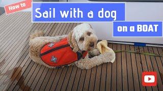 Ep 9. Sailing with a dog on board