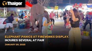 Thailand News : Elephant Panics at Fireworks Display, Injures Several at Fair