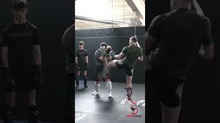 Focusing on four points of movement with any technique. |No 769