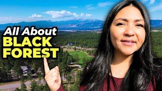 Colorado's TOP Luxury Neighborhoods | Living in Black Forest Colorado