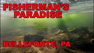 Fisherman's Paradise | Spring Creek | Bellefonte, PA | Underwater GoPro