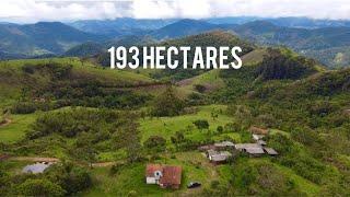 FAZENDA A VENDA  EM DELFIM MOREIRA - MG R$  -- 26.000,00 O HECTARE