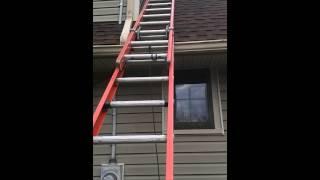 Squirrel Removal Inspection | Akron/Canton/Kent