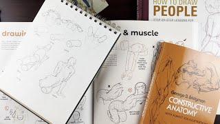 Everything You Need To Know About Choosing and Using Anatomy and Art Books.