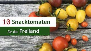 10 Snacktomaten für das Freiland - Robust & Gesund gegen die Krautfäule!