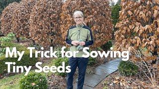 My Trick for Sowing Tiny Seeds - Plus a Quick Garden Tour