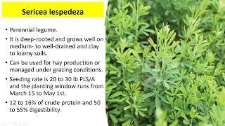 Sericea lespedeza  #nationalforagesweek