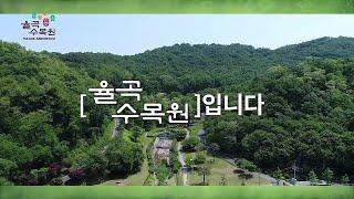 율곡수목원 이야기 끝판왕!