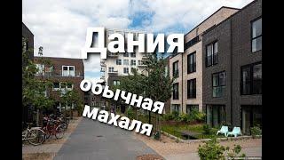 Дания, обычная МАХАЛА.