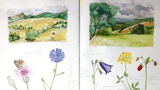 Sketchbook Tour Summer 2022 - small collections, wildflowers, slow drawing