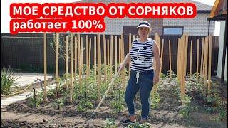 ЛУЧШЕЕ СРЕДСТВО ОТ СОРНЯКОВ. Как удалить сорняки с огорода без химии