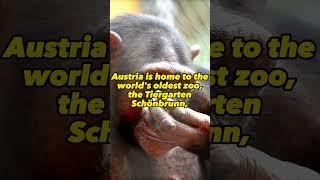 7 Things you didn't know about Austria! | #16 #shorts