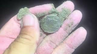 Beach metal detecting California Summer