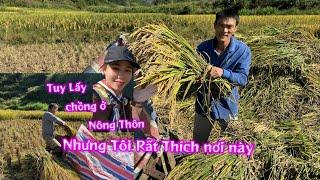 Tuy Lấy Chồng Ở Vùng Nông Thôn Nhưng Tôi Rất Thích Nơi Này Ngôi Làng Thu Hoạch khoai Lang Và Lúa