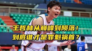 王哲林从巅峰沦为平庸！到底谁才是罪魁祸首？