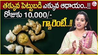 Ginger Garlic Paste Making Business | 100% Pure Ginger Garlic Paste Making Process | Business | MW