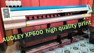 AUDLEY XP600 single head printer machine ||Audley S2000 Eco Solvent Digital Banner Printer machine