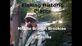 Middle Branch Brookies and Littleville