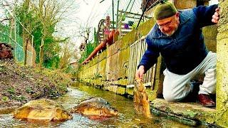 I Cooked Big Fish in the Big Stone Oven‼️ Fish Day in the Village‼️ Easy Baked Recipe