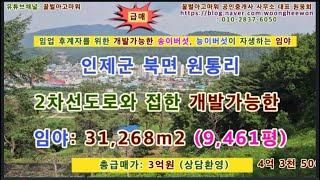 (급매) 인제군 북면 원통리 관광농원 숲속야영장 개발가능한 임야 9,461평 (상담환영)