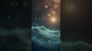 The Science of Organic Generative Ambient Soundscape