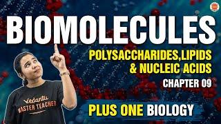 Biomolecules Polysaccharides, Lipids & Nucleic Acids | Class 11 Biology Chapter 9 |Vedantu Malayalam