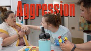 Aggression For Attention