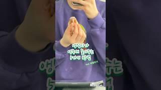 앵집사의 자질 #말하는앵무새 #말하는코뉴어 #앵무새 #앵무새키우기 #반려동물 #앵무새노래 #코뉴어키우기 #코뉴어 #파인애플코뉴어 #코뉴어훈련 #앵무새훈련 #앵무새놀아주기 #앵초