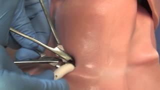 Simulab TraumaMan Surgical Abdomen Product Review | HealthySimulation.com