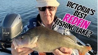 Bait & Lure Fishing for big Redfin Perch #redfin #fishing #fishingtrip
