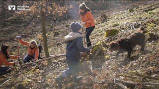 #Verantwortung - Baumpflanzaktion am Dünsberg