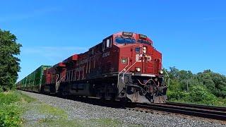 CSX/CP Q156 in Ripley, NY