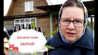 Осенняя дача:сажаем чеснок и закрываем сезон.