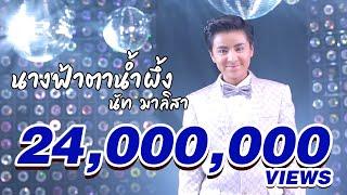 นางฟ้าตาน้ำผึ้ง - นัท ไมค์ทองคำ [Official MV]