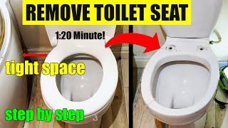 HOW TO REMOVE THE TOILET SEAT