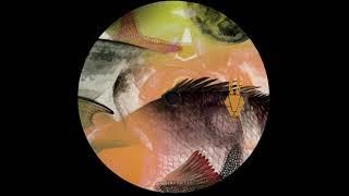A2. Metamatics & Nyquist - Delaypal [SCRTC006]