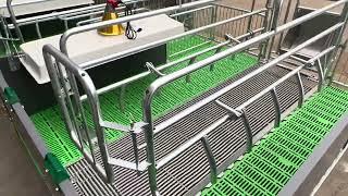 Farrowing Crate #farrowingcrate #pigdrinker #pigfeeder #pigfarm