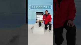 Can l teach a penguin To subscribe ?️#mrbeast #mrbeasthindi #mrbeastshorts