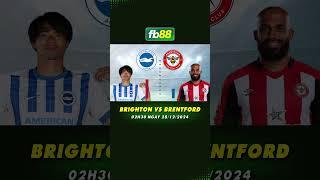 CHIM MÒNG BIỂN SẢI CÁNH VƯƠN CAO | KÈO BRIGHTON VS BRENTFORD NGON NHẤT THỊ TRƯỜNG, CHỜ ANH EM VÀO BỜ